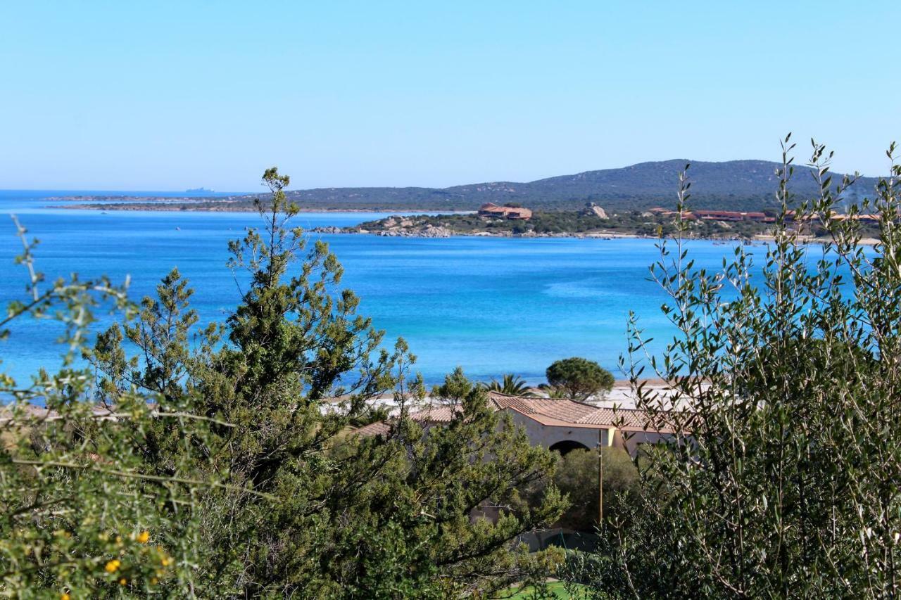 Casa Vacanze Il Cisto - Golfo Di Marinella Villa Porto Rotondo Exterior foto