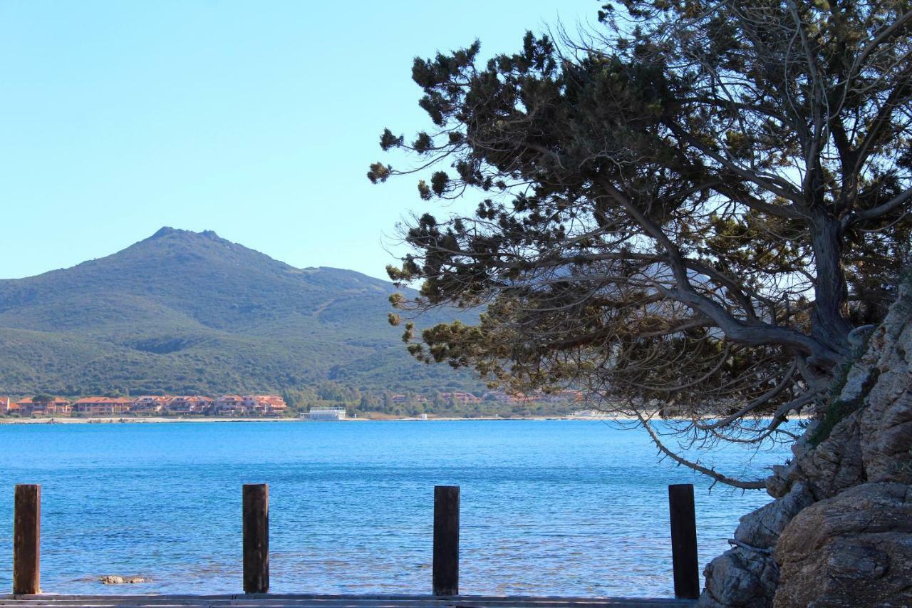 Casa Vacanze Il Cisto - Golfo Di Marinella Villa Porto Rotondo Exterior foto